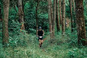 BIB: 
                            <button type="button" onclick="openModal(25236845)" class="btn btn-primary btn-sm float-right btn-popup" data-toggle="modal" data-target=".modal-high-quality">
                        <i class="fas fa-shopping-cart"></i> Add to Cart
                    </button>
                                            <button type="button" onclick="isThisMe(25236845, true)" class="btn btn-success btn-sm float-right btn-popup btn-isme hidden" data-toggle="tooltip" data-placement="bottom" title="นี่คือรูปของคุณใช่ไหม คลิกที่นี่เพื่อเอาเข้าอัลบั้ม">
                        <i class="fas fa-plus"></i> Add to album
                    </button>
                    <button type="button" onclick="isThisMe(25236845, false)" class="btn btn-warning btn-sm float-right btn-popup btn-isnotme hidden">
                        <i class="fas fa-ban"></i> Remove from album
                    </button>